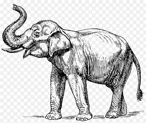 图形线艺术大象剪贴画插图.大象邮票