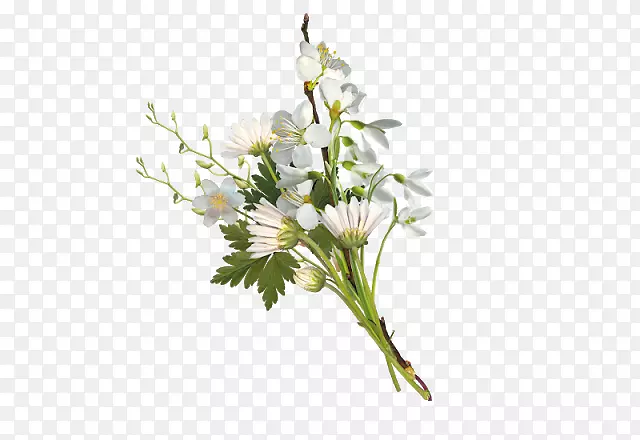 白色图像，可移植网络图形，绿色透明花，PNG花束。