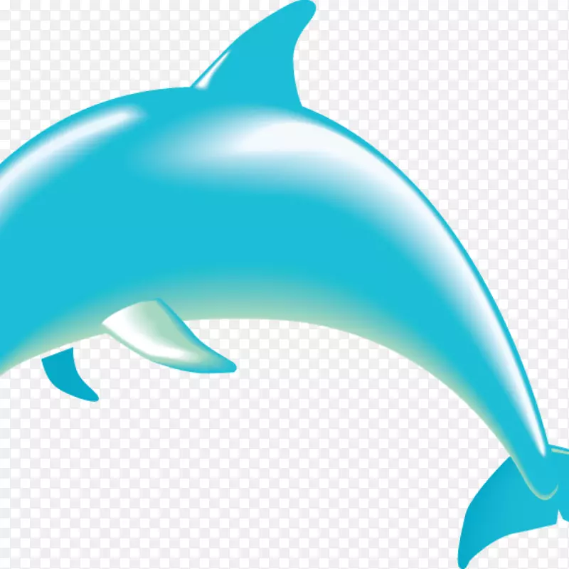 海豚剪贴画图形绘制图库-海豚剪贴画PNG剪贴画