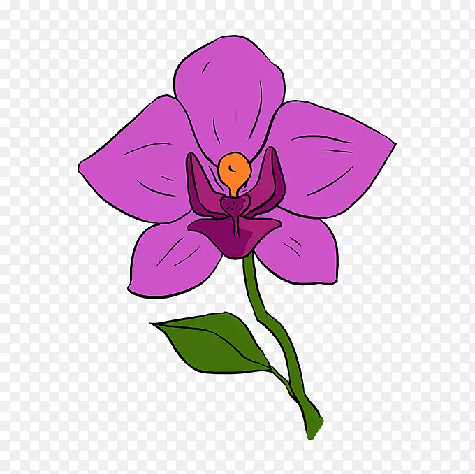 如何绘制：一步的兰花剪贴画如何画一朵PNG兰花