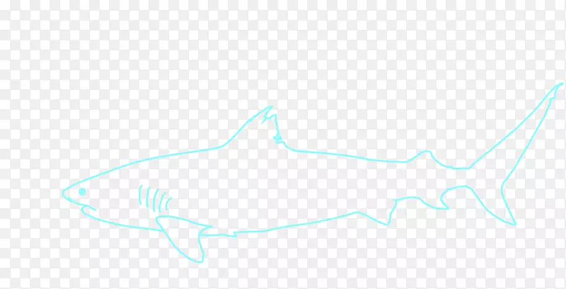 鲨鱼、海豚、海洋生物鲸鱼-鲨鱼画PNG剪贴画