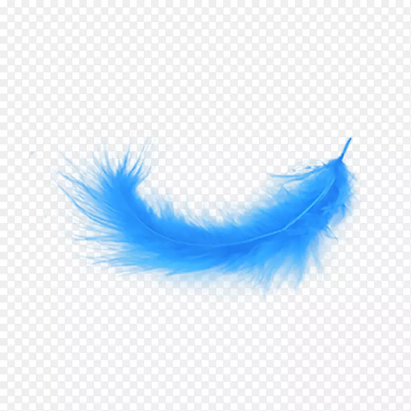 png图片剪贴画羽毛图像桌面壁纸羽毛画png蓝色