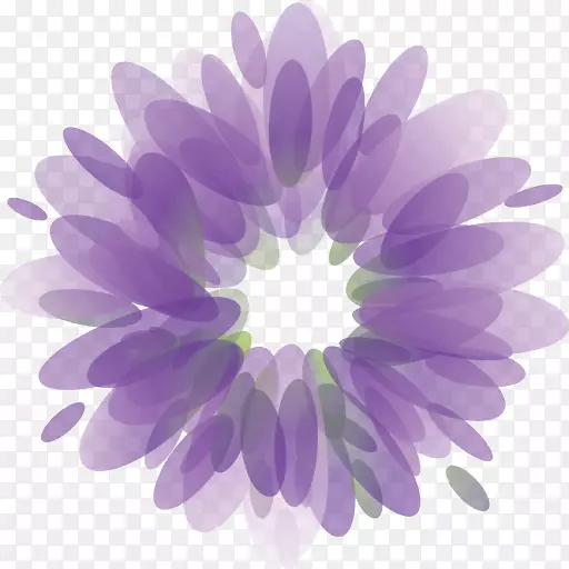 菊花桌面壁纸雏菊科紫色电脑-美丽洒花