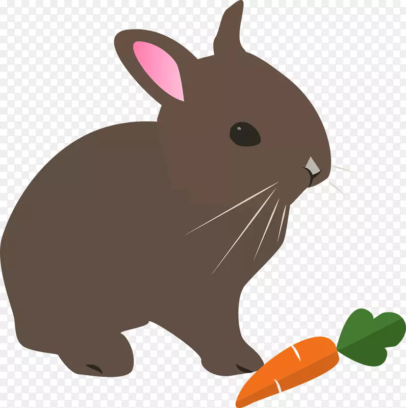兔子剪贴画png图片兔子免费内容-兔子PNG剪贴画兔卡通