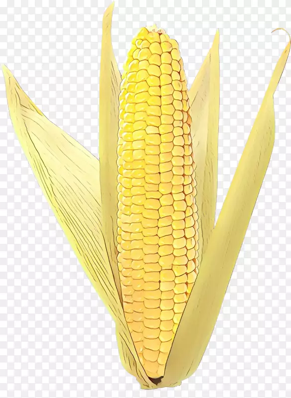 玉米对玉米的产品设计