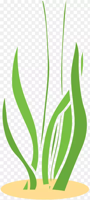 草夹艺术植物茎商品设计