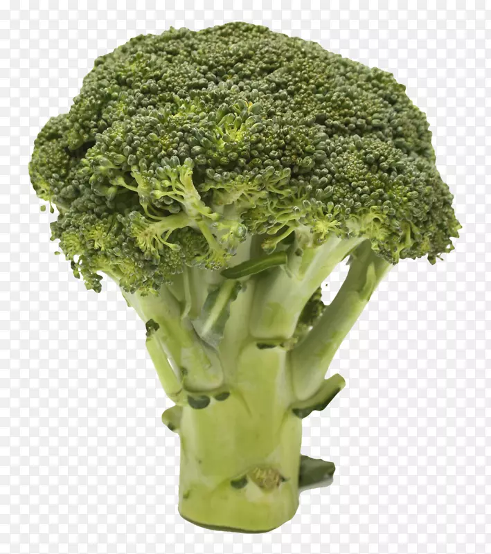 剪贴画花椰菜透明蔬菜图像.绿色无花果