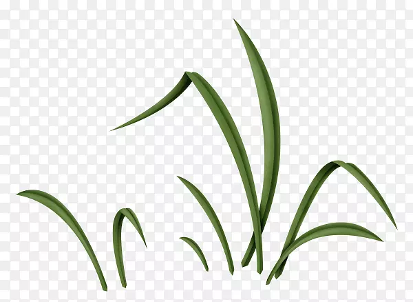 叶虫兔复活节兔子剪贴画绿色植物