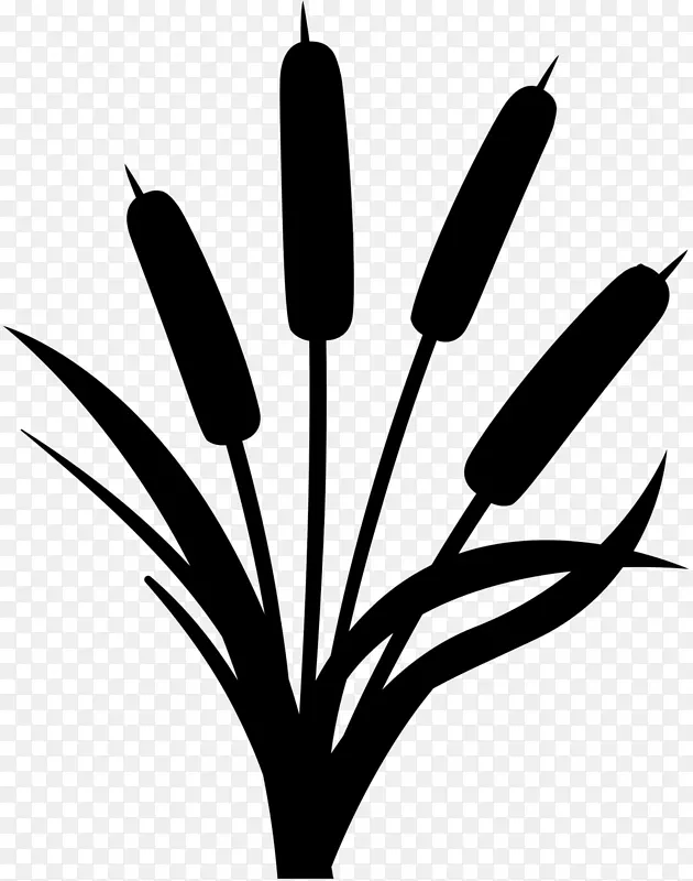 剪贴画枝条植物茎黑白米叶