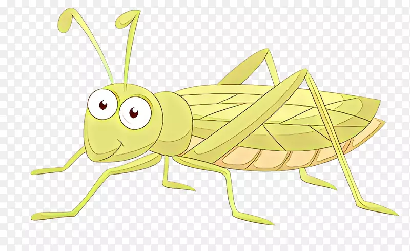 蝗虫剪贴画昆虫插图