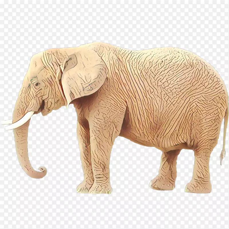 非洲象印度象牙陆生动物