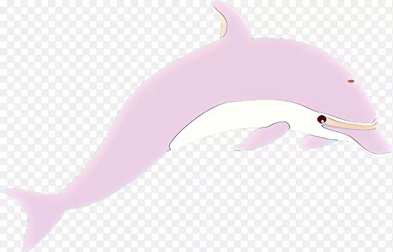 图库溪常见宽吻海豚产品设计粉红m