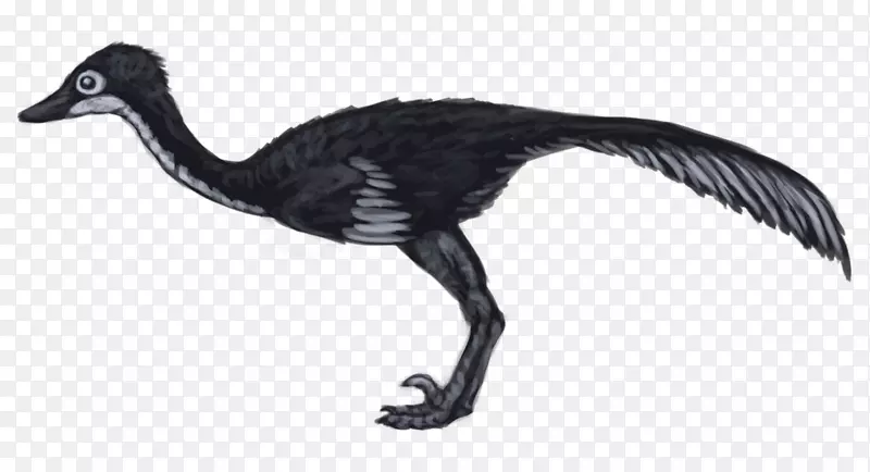 蜥鸟龙城恐龙鸟鹅-PNG恐龙