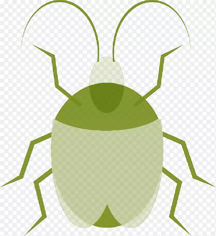 png图片剪贴画图形甲虫计算机图标昆虫