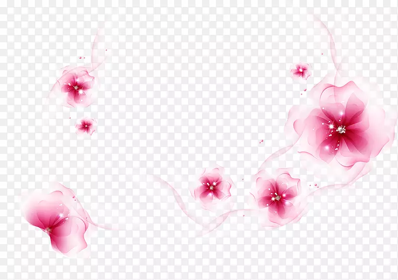桌面壁纸玫瑰花图案-透明花PNG花