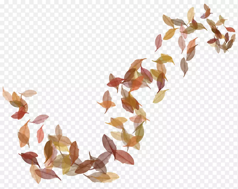 png图片剪贴画秋季图像落叶背景PNG秋叶