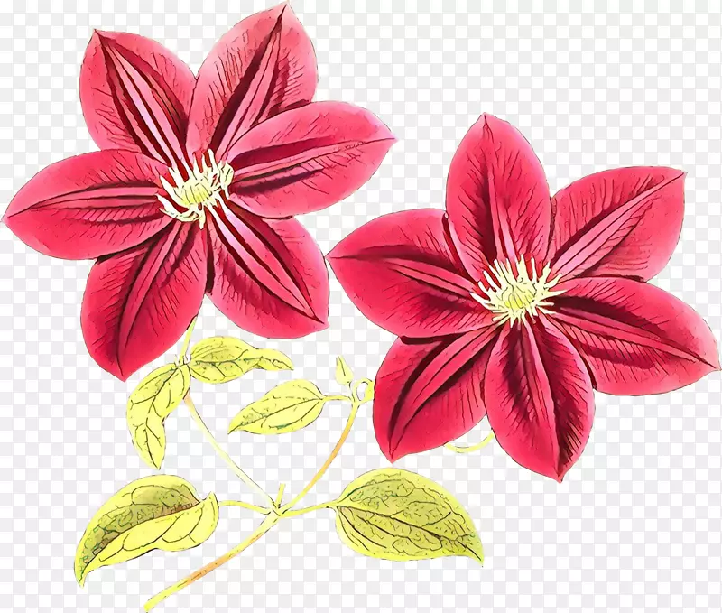 皮革花卉png图片图像透明花草