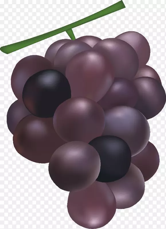 葡萄可伸缩图形图像联盟补充PNG葡萄种子