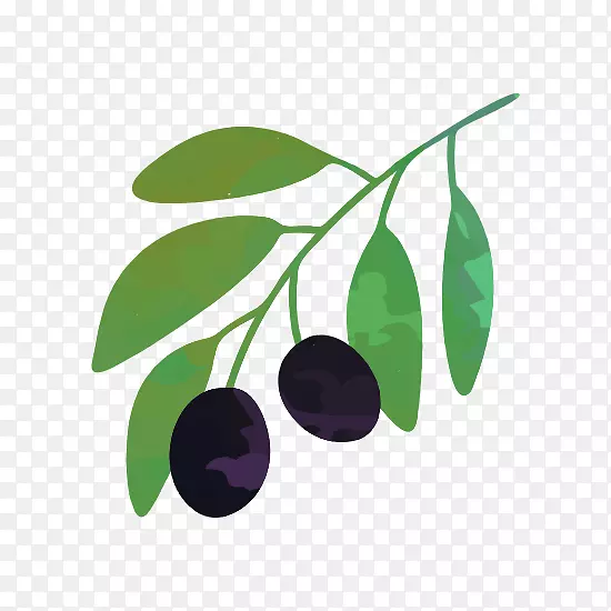 图形，插图绘制橄榄树