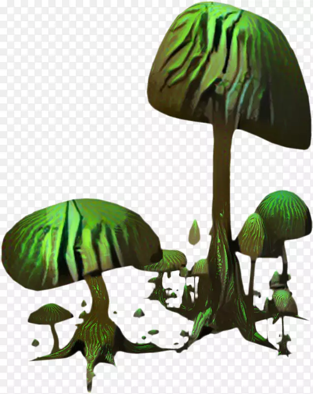 蘑菇剪贴画绿色插图图片
