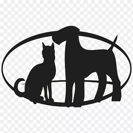 猫帕西蒂路宠物水疗狗