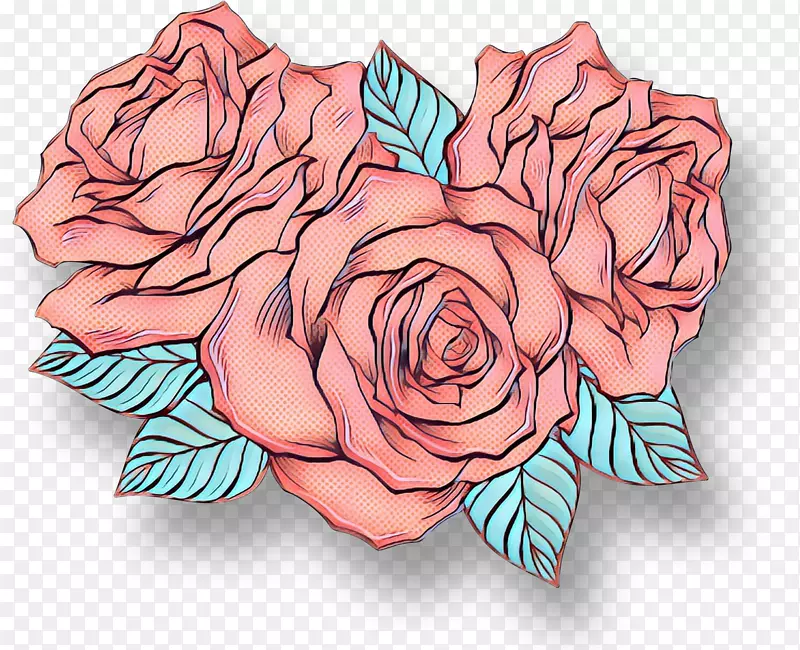 花园玫瑰，卷心菜，玫瑰花，图案插图，切花