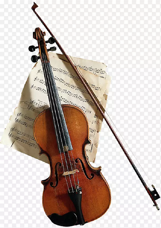 小提琴中提琴大提琴弓小提琴弓