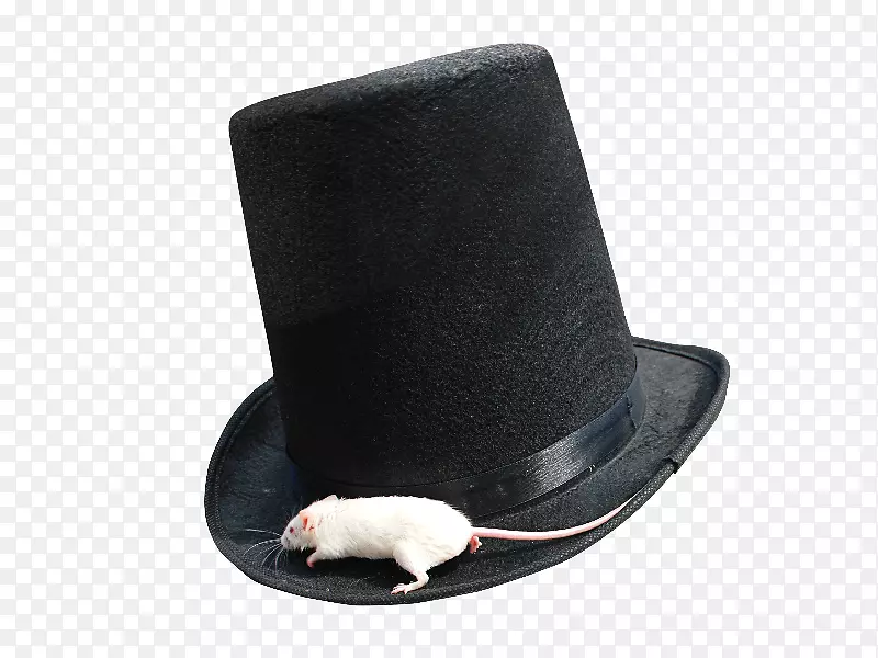 康纳帽子男式蒸汽朋克羊毛大帽png图片电脑鼠标顶帽