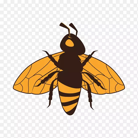 图形版税-免摄影蜜蜂插图.大黄蜂昆虫