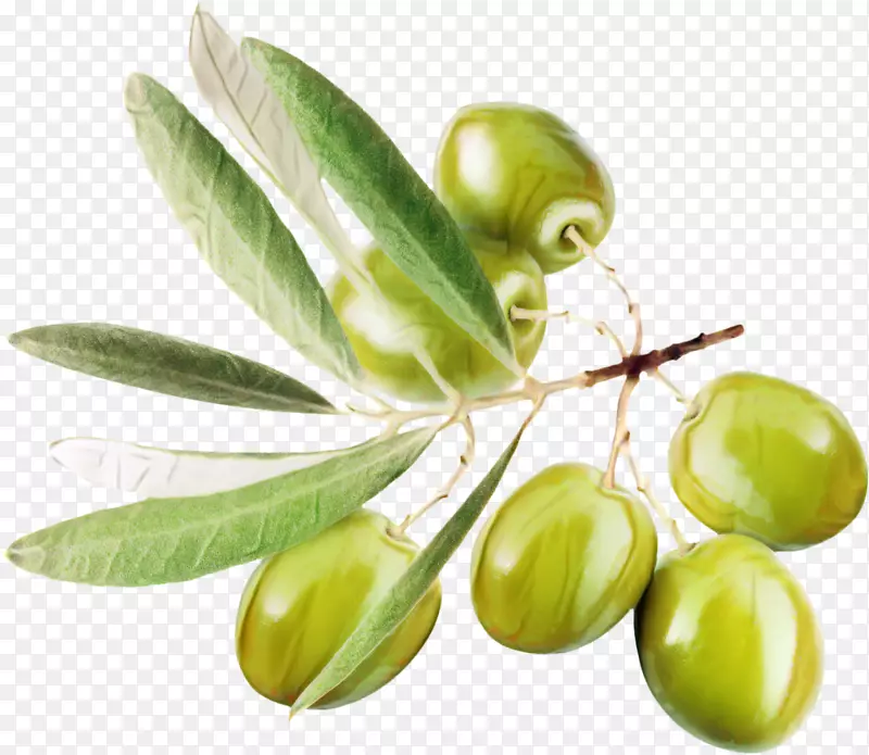 橄榄油png图片剪辑艺术食品