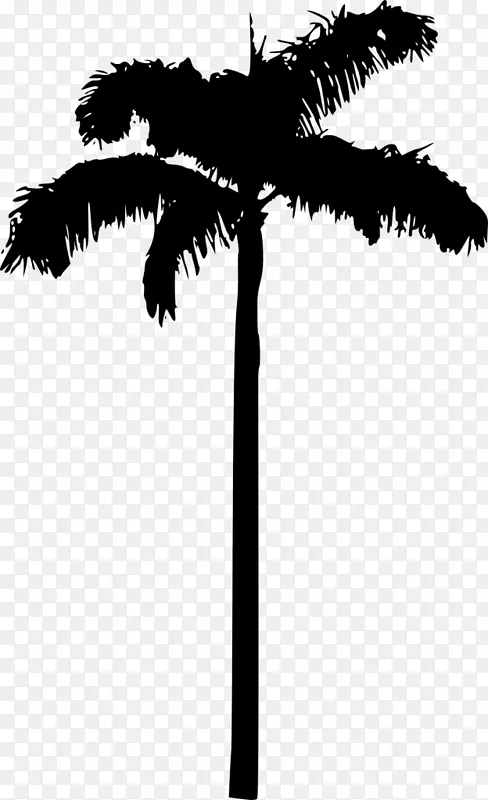 剪贴画png图片棕榈树透明剪影-棕榈周日