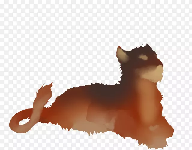 胡须，小猫，古老的英国牧羊犬，繁殖狮子母狮