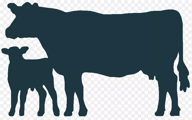 安格斯牛威尔士黑牛荷斯坦弗里西亚牛小牛剪贴画-小牛图