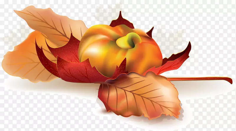 秋季广告设计图像图形.秋季元素
