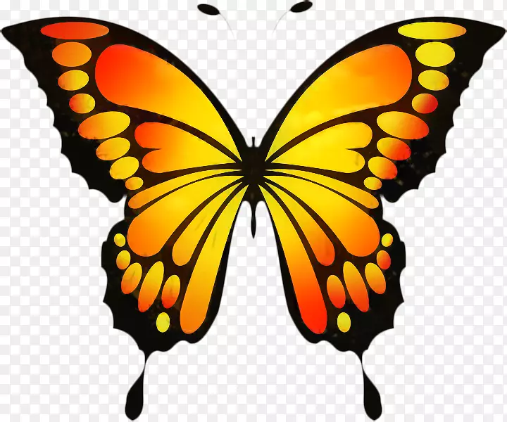 蝴蝶夹艺术png图片开放桌面壁纸