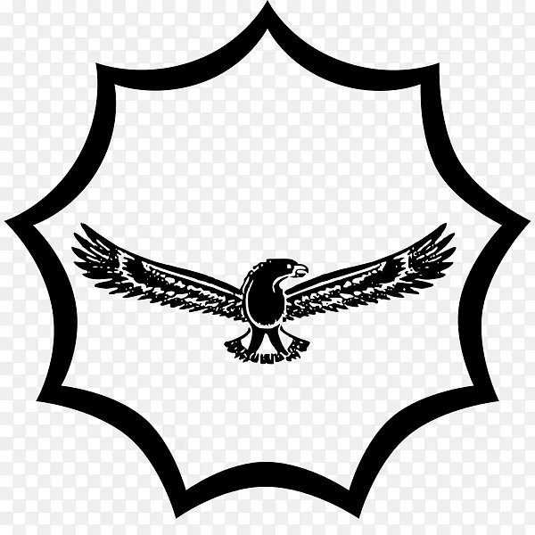 南非空军飞机-空军标志PNG透明