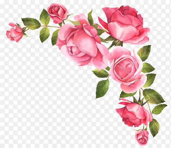 花园玫瑰花束插图水彩画