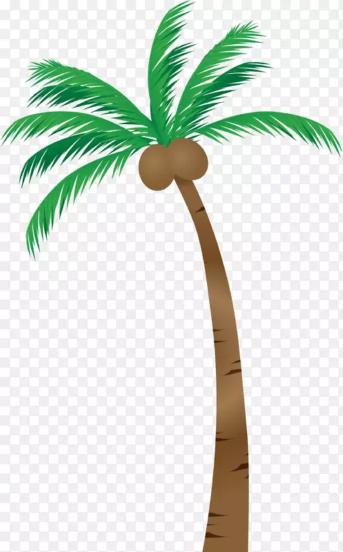 棕榈树亚洲棕榈插图图片椰子树-棕榈树