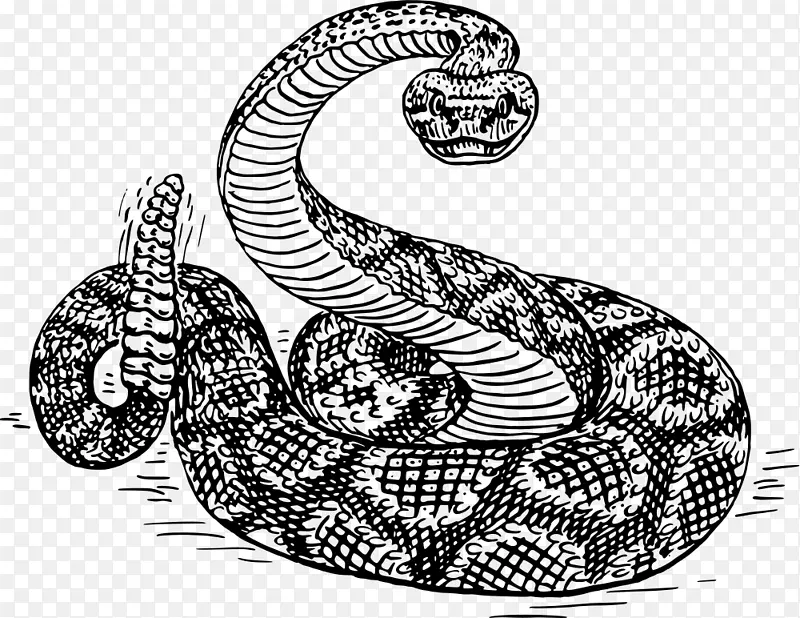 蛇夹艺术西部菱形背响尾蛇东部菱形背响尾蛇-蛇画巴布亚新几内亚响尾蛇