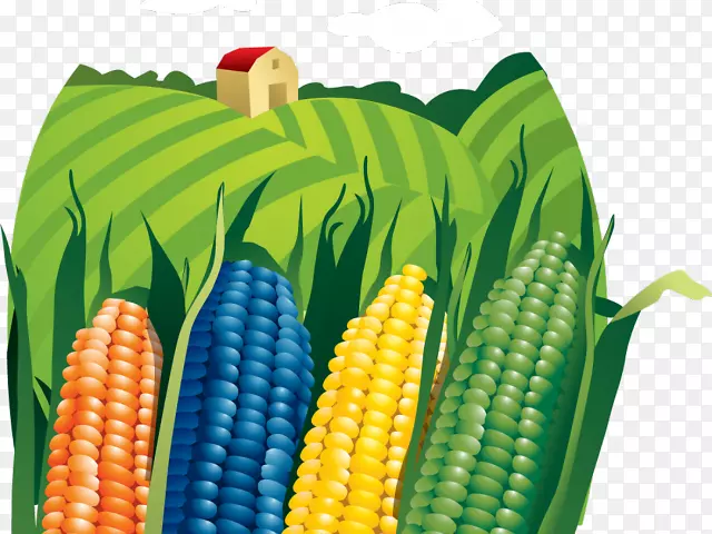 png图片图形剪贴画玉米农业剪贴画Png下载