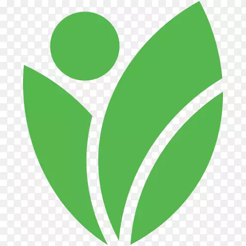 绿色植物一种绿色世界木瓜-亚洲梨