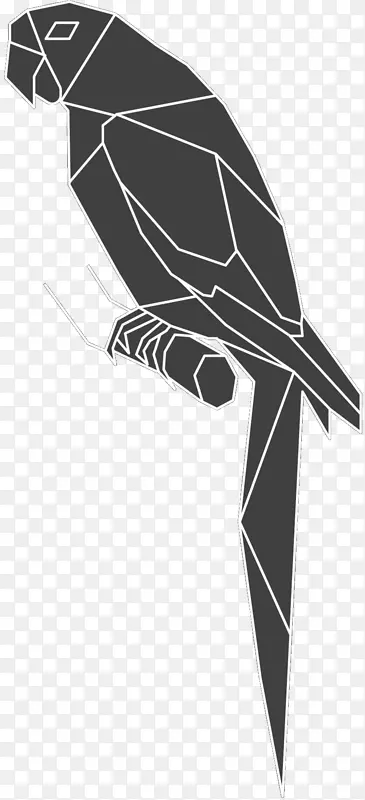 鸟产品设计黑白-鸟喙插图