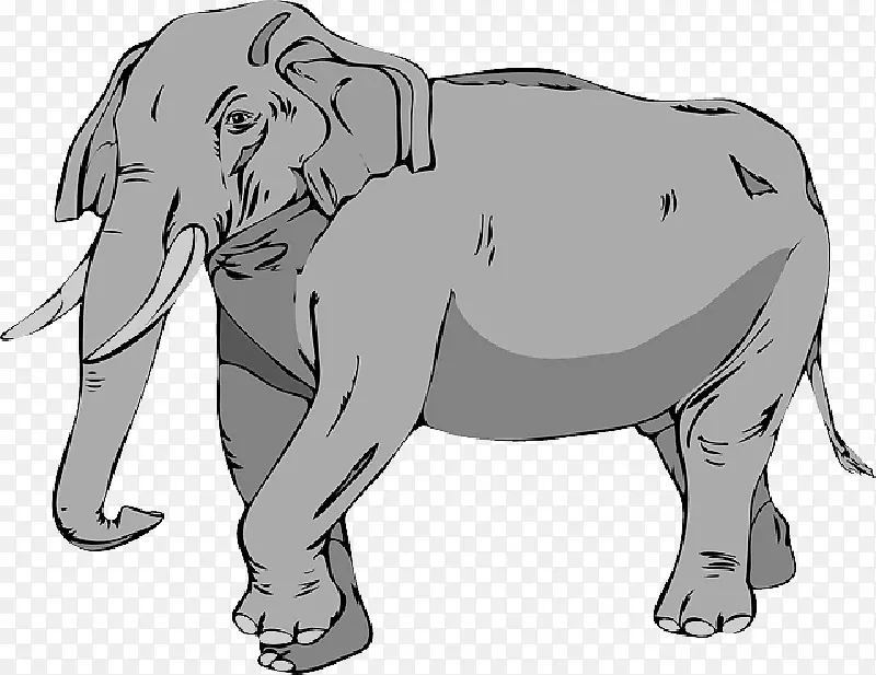 亚洲象非洲象夹艺术象牙-卡通
