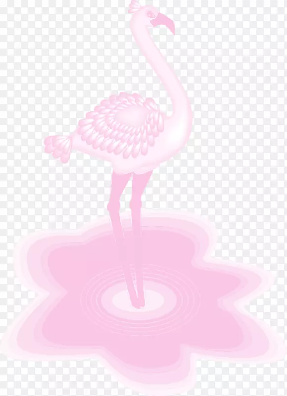 粉红色m型喙颈水鸟