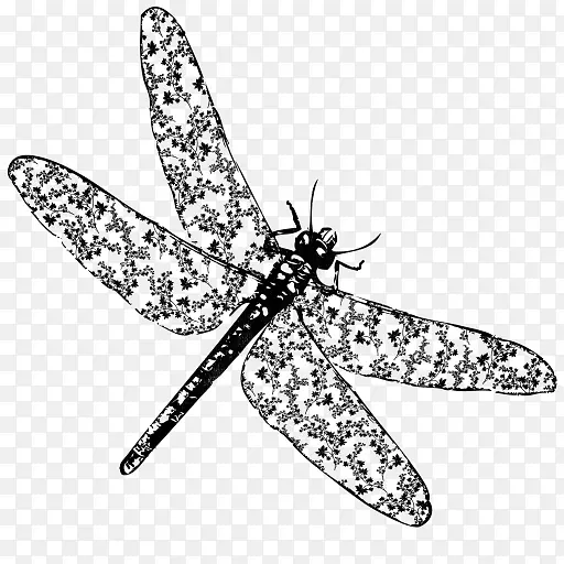 昆虫圈闭帆布着色书蜻蜓-蜻蜓画PNG蜻蜓