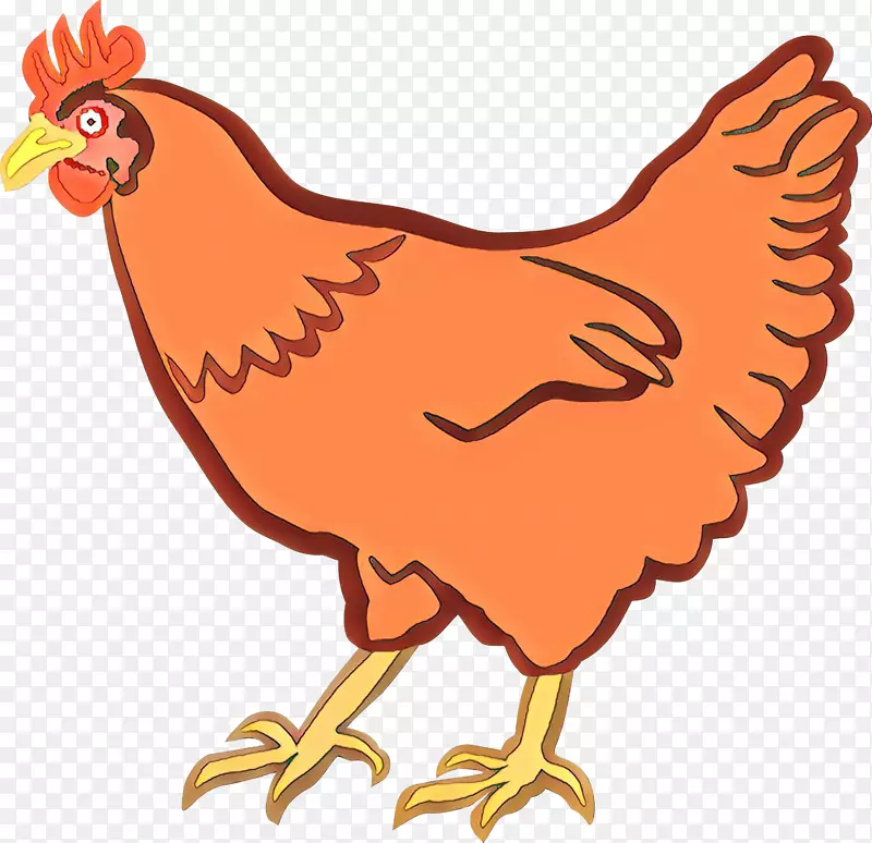 鸡夹艺术鸡png图片插图
