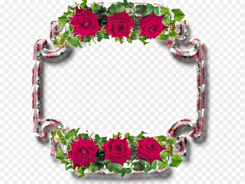 玫瑰画框，花卉设计，花卉摄影