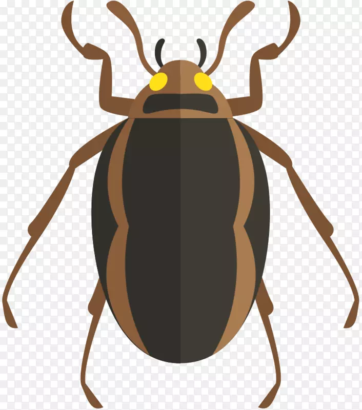 图形甲虫图像蟑螂电脑图标