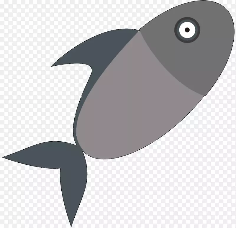 喙鱼产品设计海洋字体