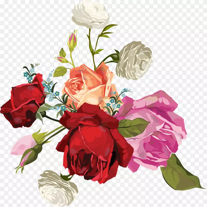 花园玫瑰、卷心菜、玫瑰、花束、切花-玫瑰透明蓬松花束
